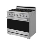 Thor Kitchen Stainless Steel Natural Gas Range (6.0 cu ft.) - XRG36E