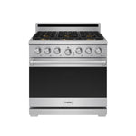 Thor Kitchen Stainless Steel Natural Gas Range (6.0 cu ft.) - XRG36E