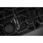 KitchenAid Wildflower Slide-In Range (6 cu. ft.) - KFDD948SWF