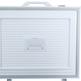 Danby White Chest Freezer 2 Door (21.0 Cu. Ft.) - DCFM210A1WDB