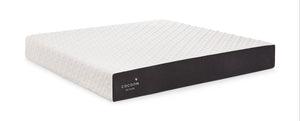 CocoonMC moelleux par Sealy Matelas double dans une boîte