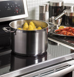 GE Profile Stainless Steel Freestanding Electric Induction Convection Range (6.2 Cu. Ft.) - PCHB920SMSS
