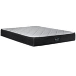 Beautyrest Ultra Newton Firm Queen Mattress