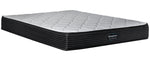 Beautyrest Ultra Newton Firm Queen Mattress