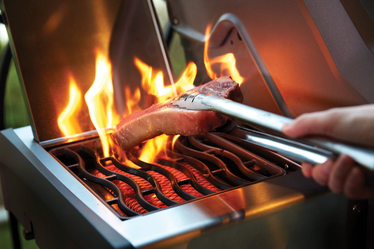 Napoleon Rogue 525 SIB Stainless Steel Propane Gas Grill Barbecue - R525SIBPSS