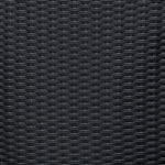 Erwood Outdoor Dining Arm Chair - Black - Set of 2