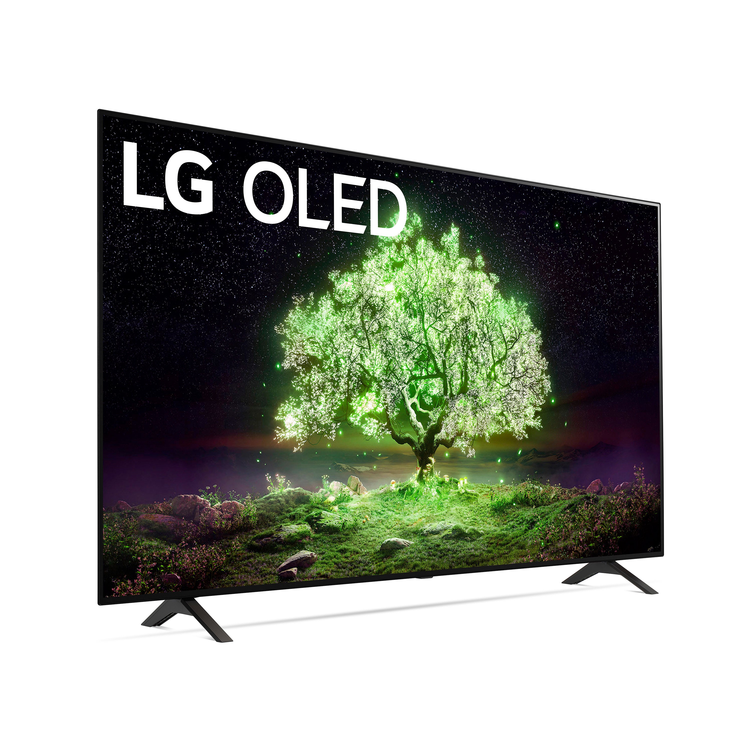 LG 65" 4K Smart OLED TV w/AI ThinQ® - OLED65A1PUA