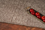 Bahia XVII 5' x 7' - Beige Heather Area Rug