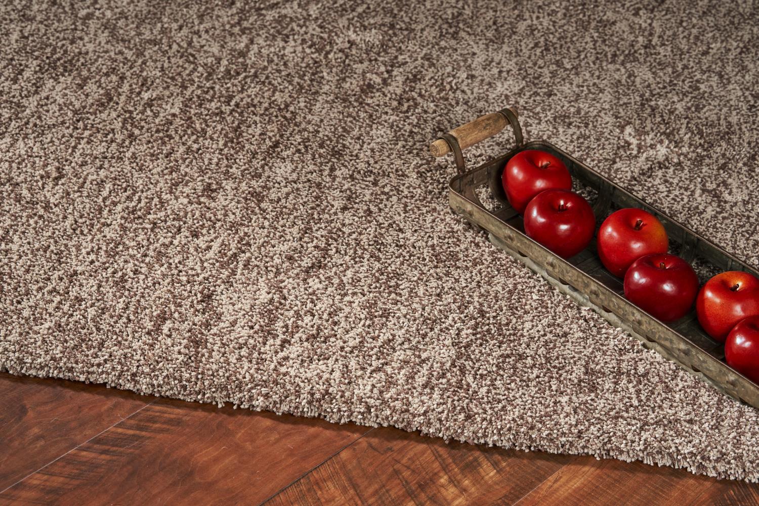 Bahia XVII 5' x 7' - Beige Heather Area Rug