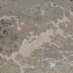 Lacie III 5'3" x 7'7" - Sand Grey Area Rug
