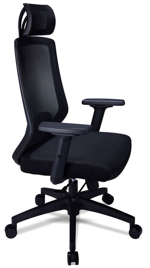 Dinah Chaise de bureau ergonomique - graphite