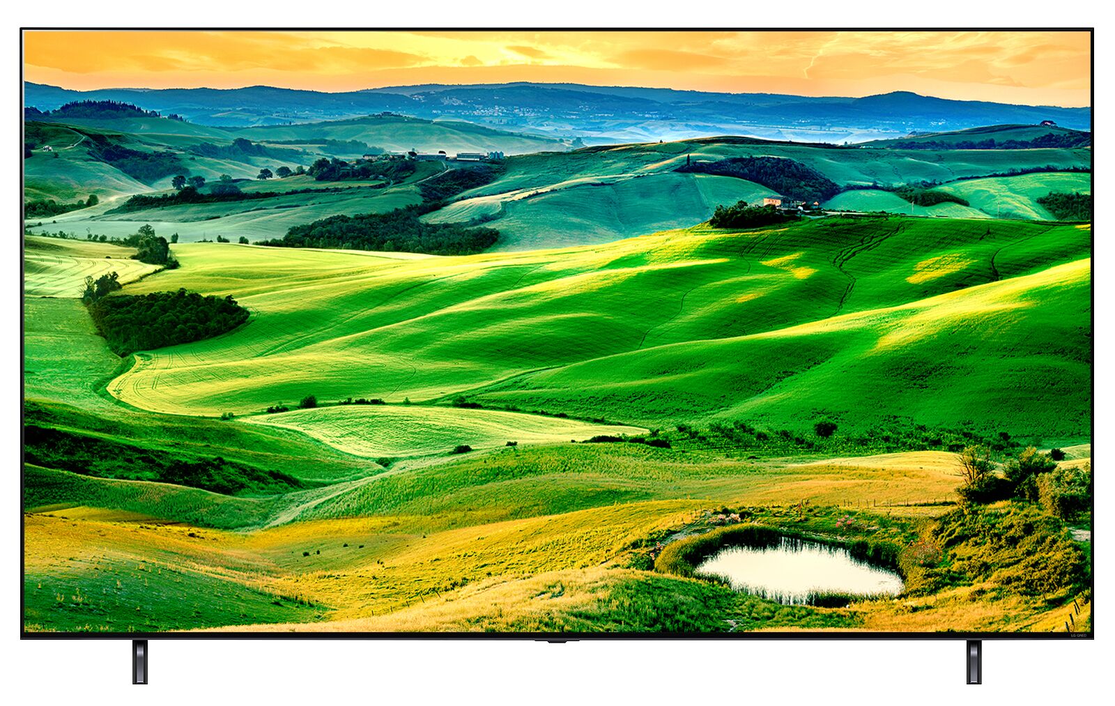 LG 65" 4K QNED 120Hz Smart TV with ThinQ AI® - 65QNED80UQA