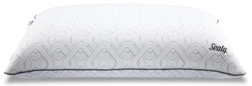 Sealy® Premium Memory Foam Pillow with Support Gel
