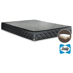 Sealy Elementary Twin XL Boxspring