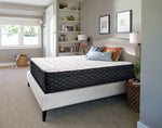 Sealy Narrative Cushion Firm Queen  Mattress
