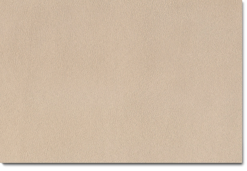 Collier Sofa and Chair Set - Beige