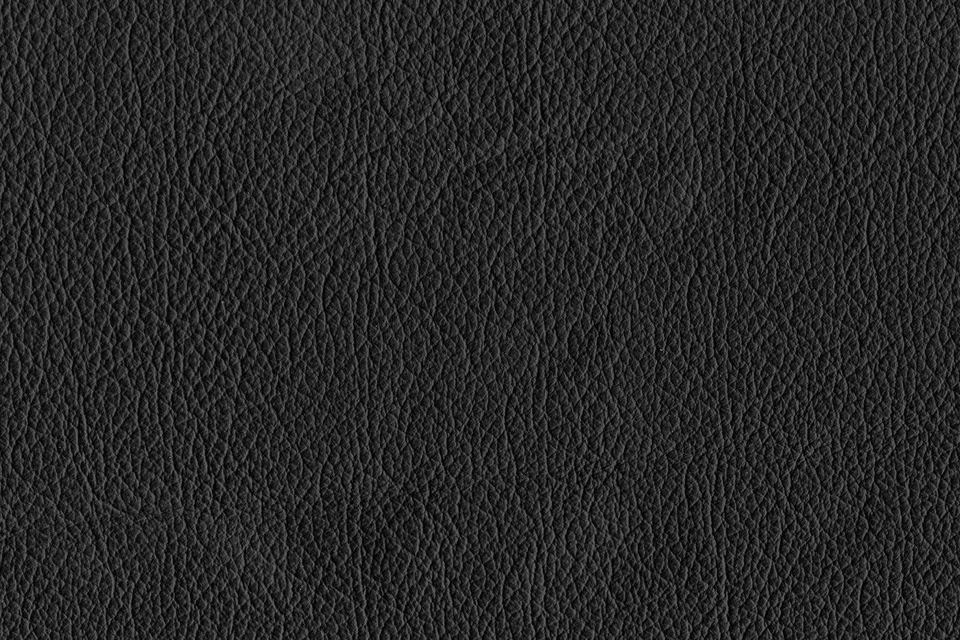 Reynolds Leather Sofa - Black