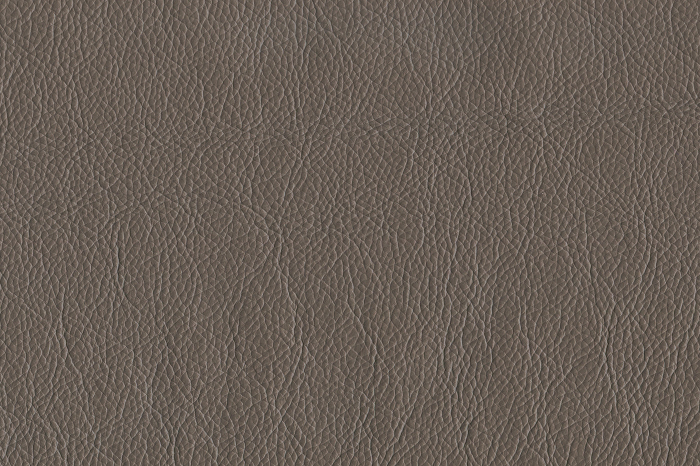 Braylon Leather Loveseat - African Grey