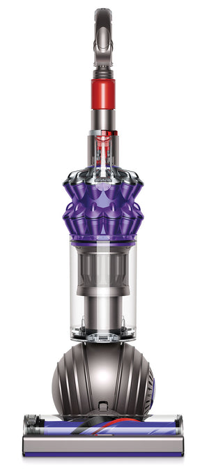 Dyson Aspirateur vertical compact Small BallMC